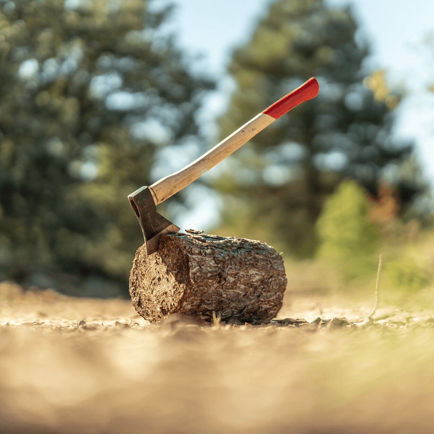 Bijlen - Goedvoorbereid.nl