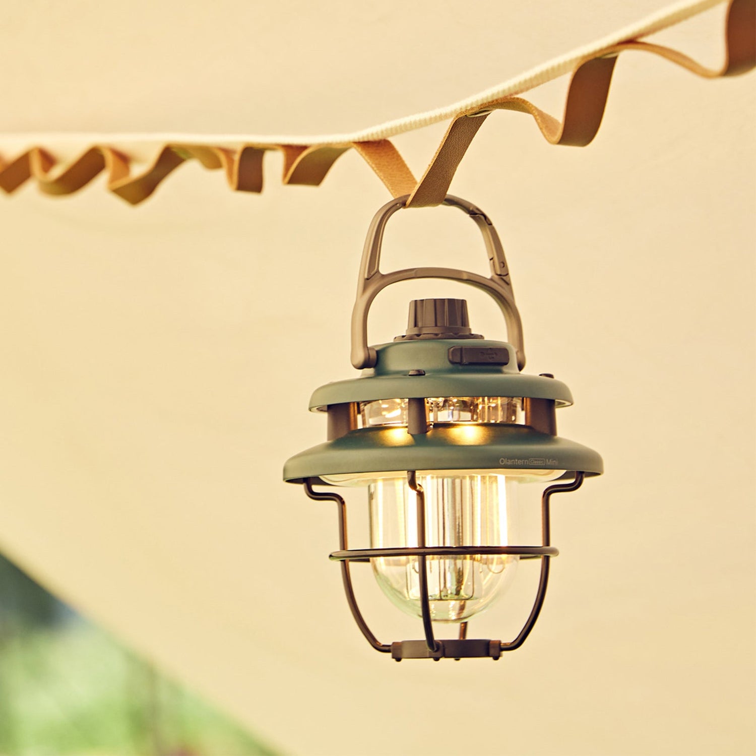 Olantern Classic Mini 'Forrest Groen' - Goedvoorbereid.nl