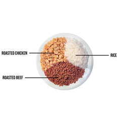 ReadyWise Noodrantsoen Vlees & Rijst - 80 Porties 13 dagen - Goedvoorbereid.nl