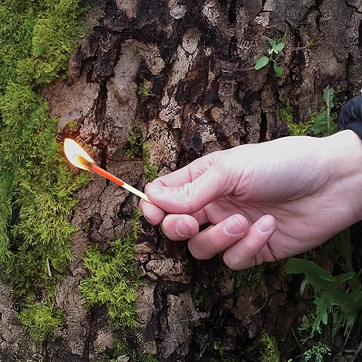 UCO Hurricane Matches Refill - Goedvoorbereid.nl